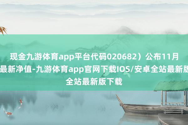 现金九游体育app平台代码020682）公布11月11日最新净值-九游体育app官网下载IOS/安卓全站最新版下载