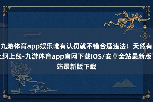 九游体育app娱乐唯有认罚就不错合适违法！天然有点上纲上线-九游体育app官网下载IOS/安卓全站最新版下载