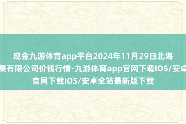 现金九游体育app平台2024年11月29日北海果业砀山惠丰市集有限公司价钱行情-九游体育app官网下载IOS/安卓全站最新版下载